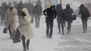 PROGNOZA METEO. Ninsori şi lapoviţă în cea mai mare parte a ţării. Când începe să ningă şi la Bucureşti