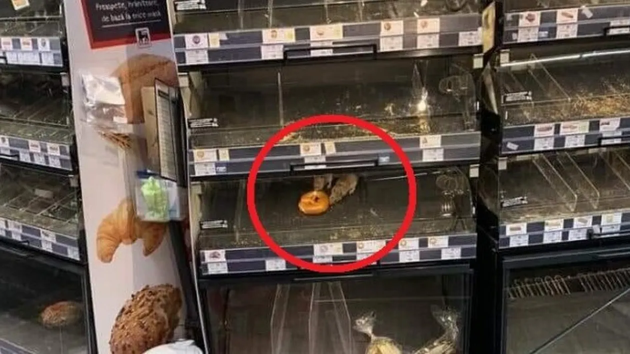 Imagini șocante dintr-un magazin din Capitală! Doi șoareci „servesc” un covrig chiar din vitrină