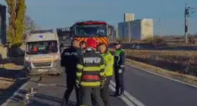 Galerie foto - poza 4