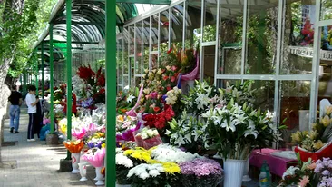 Le-a mirosit politia! Cinci florarese au fost surprinse in timp ce vindeau heroina la ghereta!