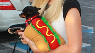 Paris Hilton se apuca iar de muzica! Vezi cu ce trupa renumita va scoate o piesa!