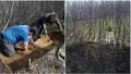 Craniu şi alte rămăşiţe umane de peste 5000 de ani, descoperite în Prahova. Cum arată și în ce stare sunt osemintele