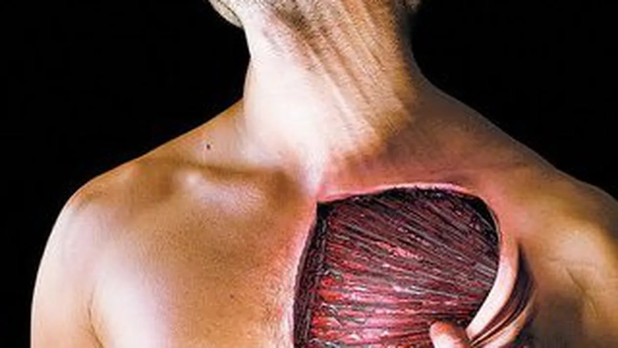 Ce se ascunde cu adevarat in spatele durerilor musculare!