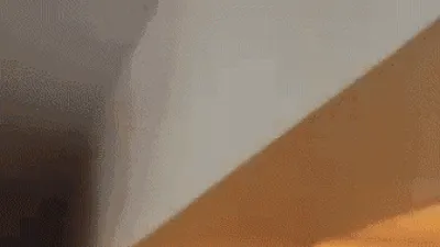 Imagini scandaloase cu fanii Feyenoord care devastează un apartament din București după meciul FCSB