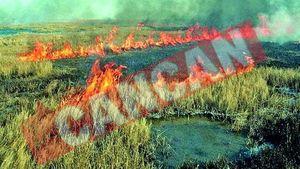 Tulcea, amenintata de flacari