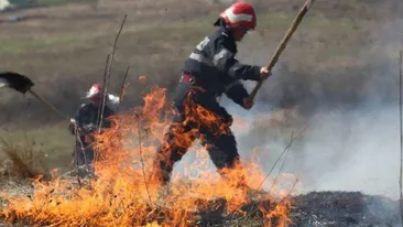 Incendiu de vegetație uscată, întins pe trei hectare, în Prahova