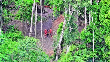 Ei sunt salbaticii secolului 21