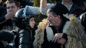 Ciobaniada din „Miorița” modernă în 2015. Baciul era să rămână fără câini iar Parlamentul a chemat jandarmii