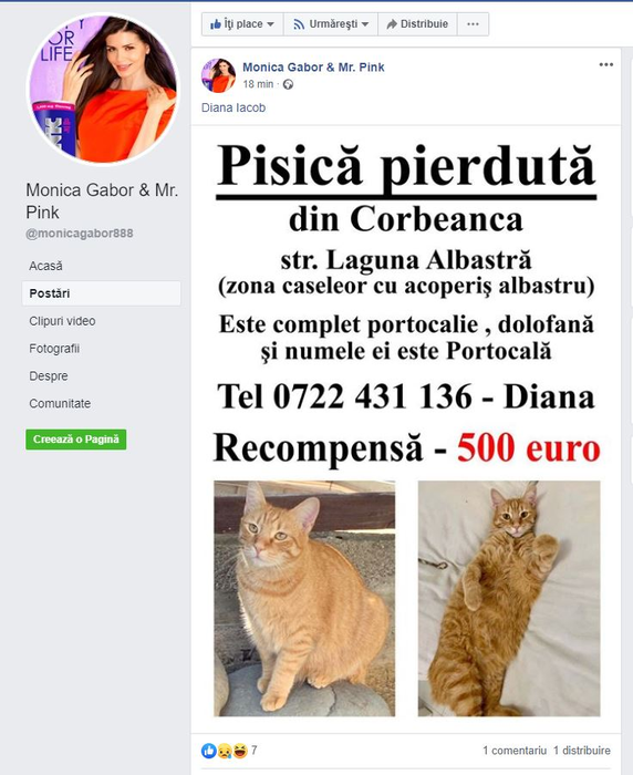 Monica Gabor, strigăt de ajutor pe Facebook! Ce veste tristă a primit vedeta