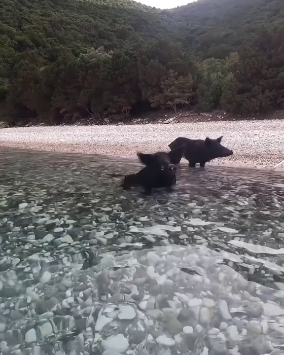 Sursa foto: Instagram Ithaki island