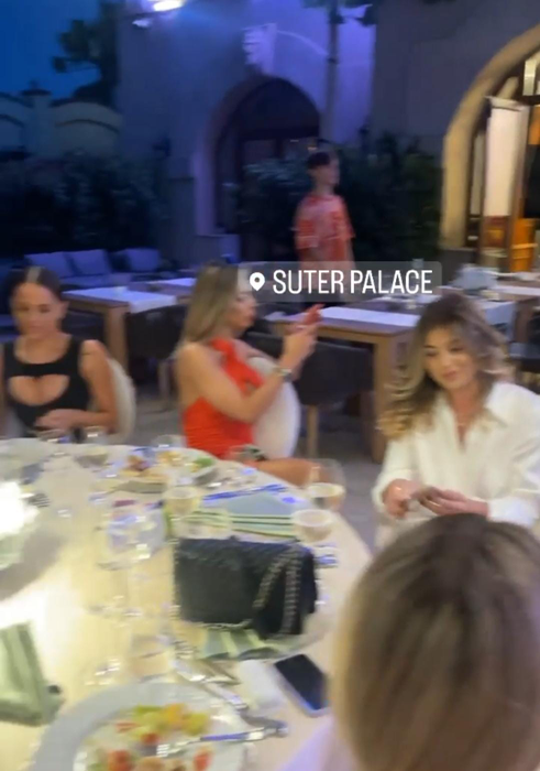 "Prințesica Turbo" și-a sărbătorit ziua de naștere la Palat (Foto: Instagram)