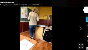 O profesoară de biologie din București a fost scoasă la vânzare pe OLX. Iată cât au cerut elevii pentru ea