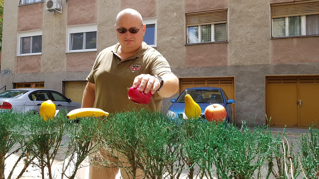 Trecătorii au "plantat" fructe în gardul vopsit