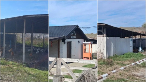 Localitatea din România în care poți cumpăra o fermă de 4000 m² cu 50.000 de euro. E la doar o oră de București