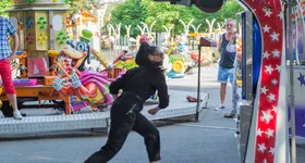 Galerie foto - poza 2