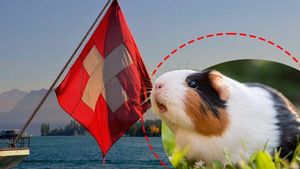 În Elveția este ilegal să ai un singur porcușor de Guineea? Țara cantoanelor, unde până și cobaii au dreptul la companie