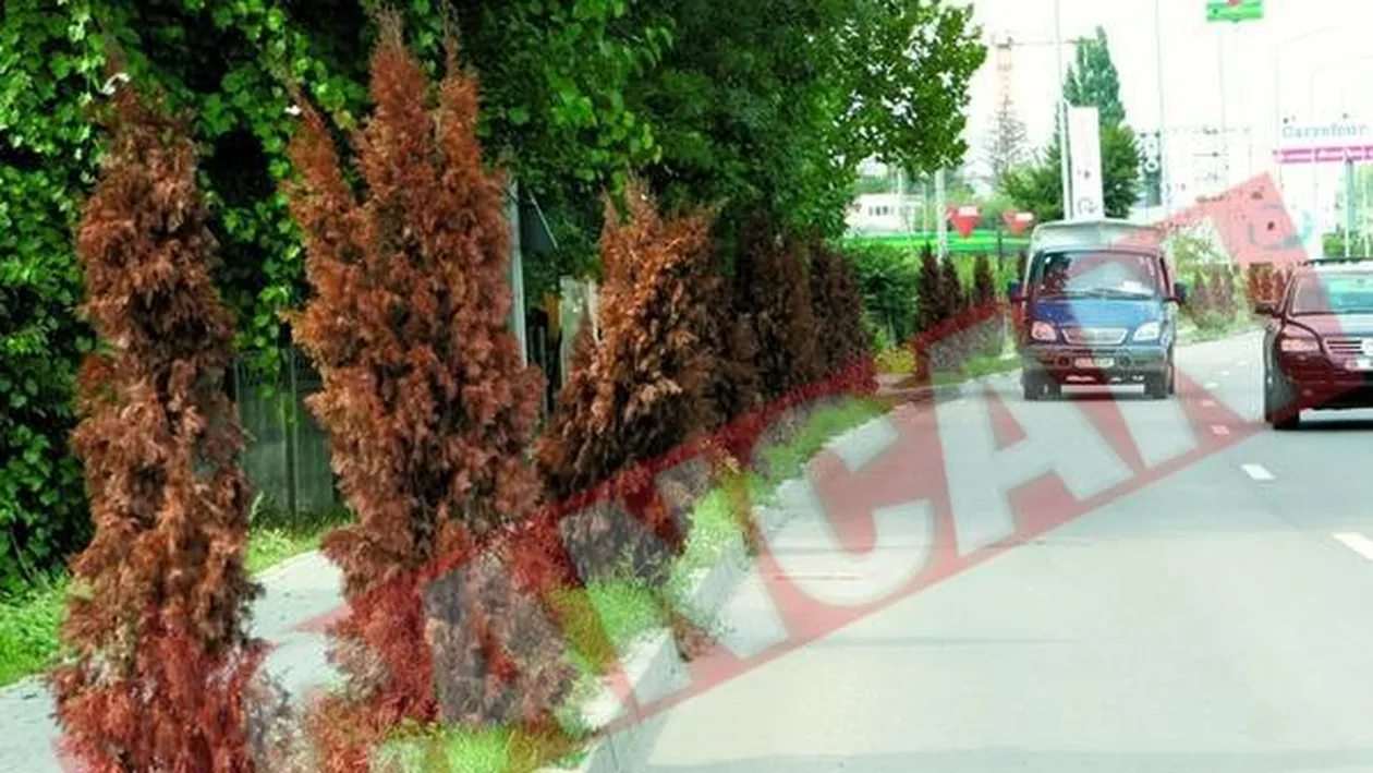 140.000 Euro, aruncati pe apa Sambetei!