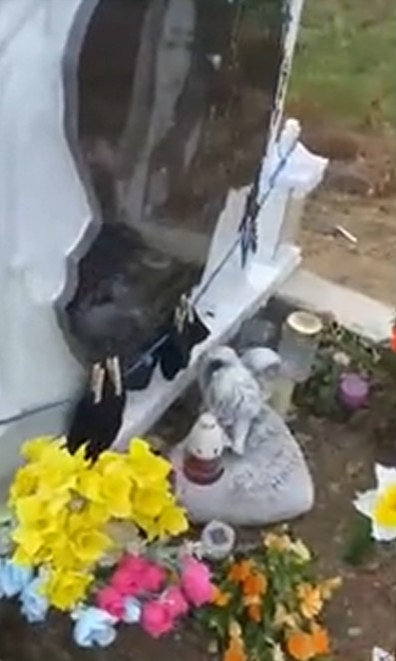 Ireal ce a apărut la mormântul Andei, tânăra ucisă de Emil Gânj. Familia e în stare de șoc!