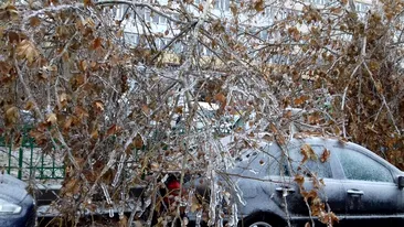 Autoritățile intervin în cazul mașinilor avariate de ploaia înghețată! Anunțul pe care l-au făcut