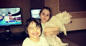 Galerie foto - poza 3