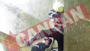 A incendiat un bloc din cauza viespilor