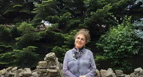 Galerie foto - poza 2