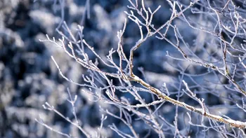 Prognoza meteo pentru duminică 21 decembrie. Iarna blândă continuă în România iar ceața își face din nou apariția