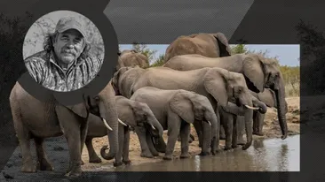 Expediție de 40.000$ terminată tragic: din vânător a ajuns vânat. Cum s-a întâmplat moartea unui milionar excentric aflat la vânătoare de antilope