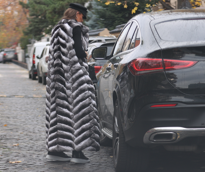 Bianca Drăgușanu, încă o apariție spectaculoasă (SURSA FOTO: CANCAN.RO)