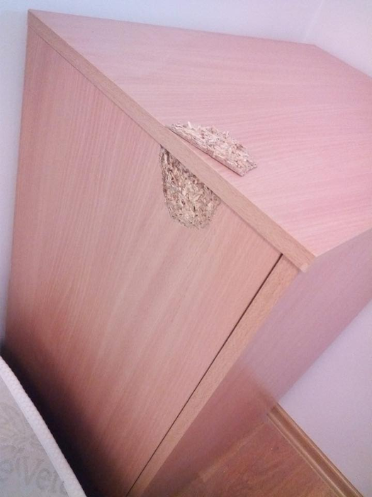 Dezastrul lăsat de românii care au stat într-un centru de carantină din Galați. Viceprimar: „Cine este om și cine câine?”. Imagini greu de privit