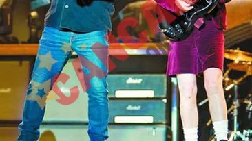 Seful Agentiei de Control si incasari din vama Nadlac, destituit fiindca subordonatii le-au cerut spaga celor de la AC/DC