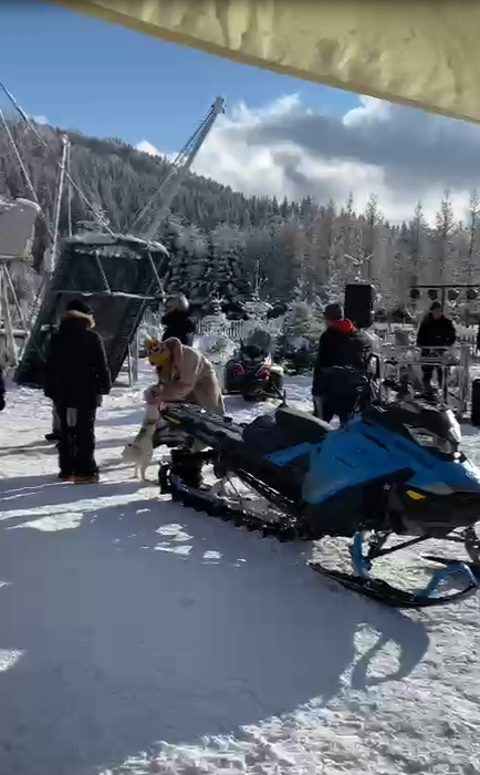 Un cățeluș i-a ieșit în cale și nu a mai scăpat de el