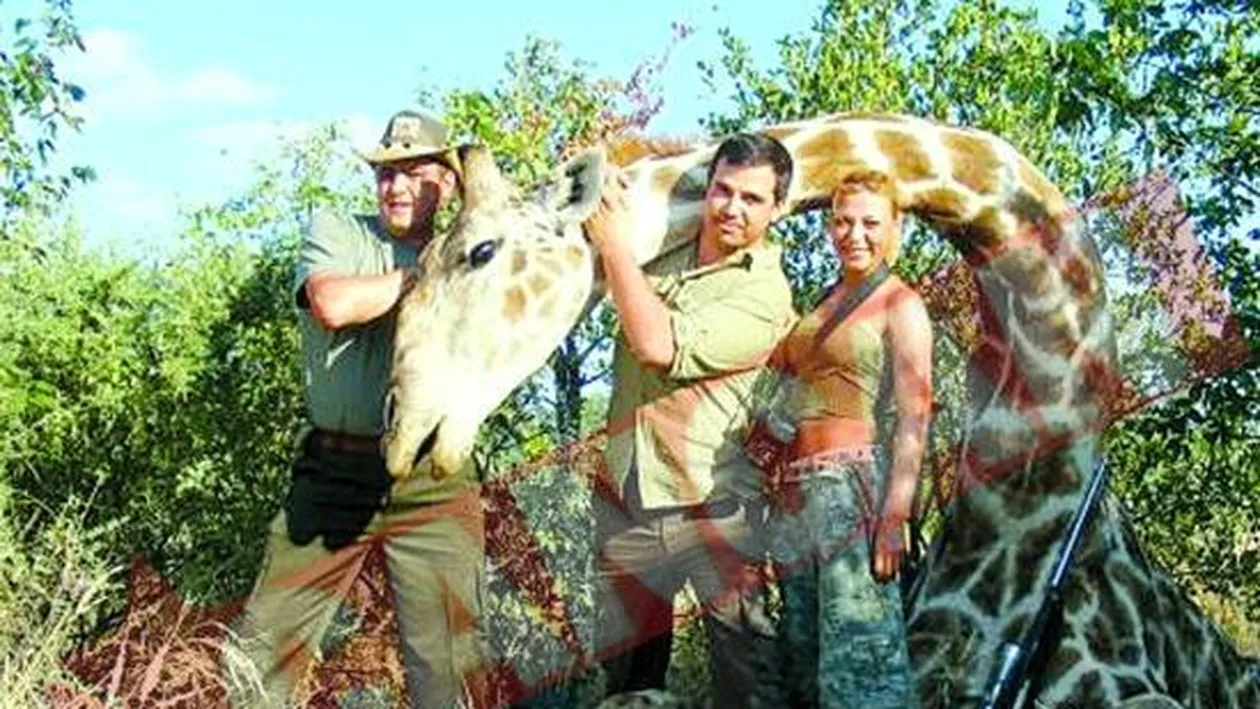 Smecherul de la Paduri vaneaza girafe de 100.000 de euro