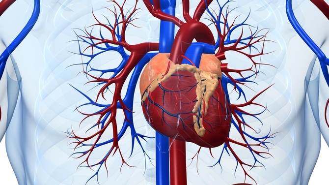 Cand te trimite inima la medic?