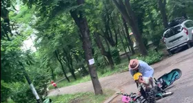 Galerie foto - poza 4