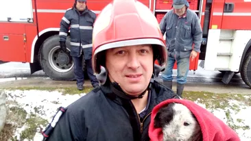 Un cățeluș aruncat de stăpân într-o pungă a fost salvat de pompierii craioveni dintr-un tub de ciment. Fratele lui n-a avut, însă, noroc