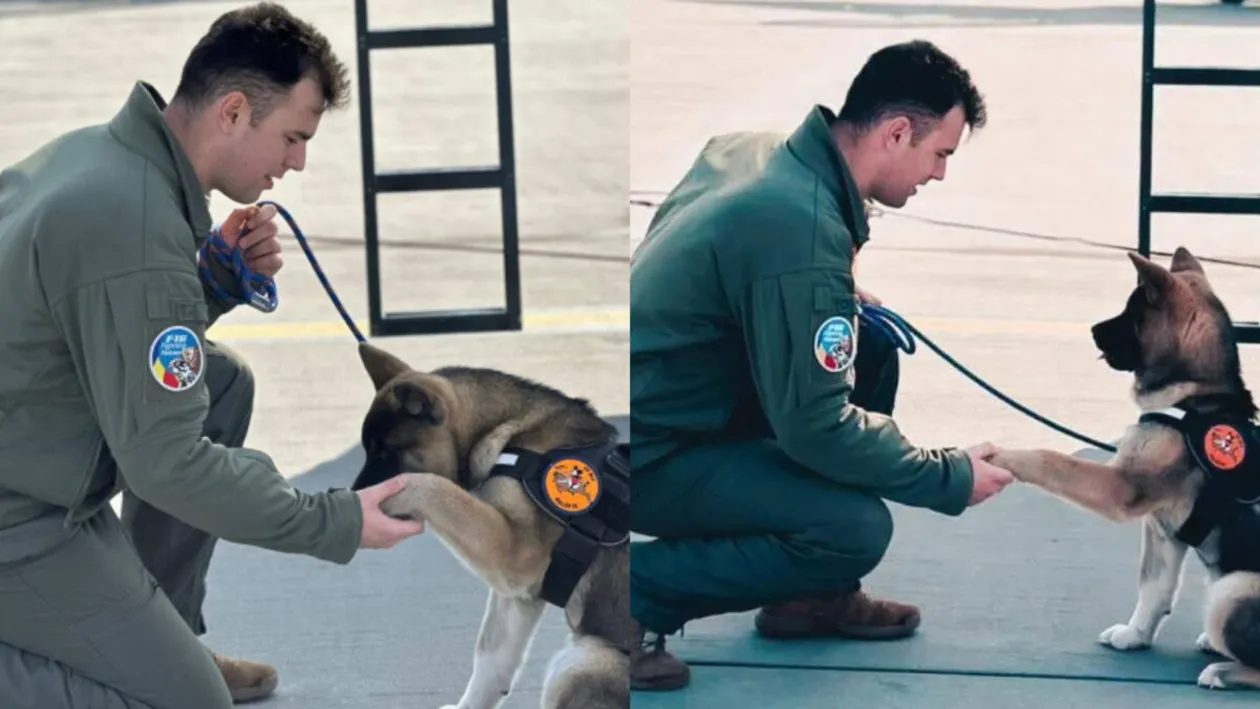 Ultimele clipe din viața lui Octavian Palferenț, pilotul militar care a murit încercând să salveze un câine. Mesajul transmis de nașul său