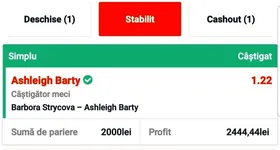 Galerie foto - poza 1