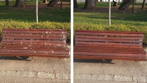 Spirit civic la Cluj. Ce a făcut un bărbat în Parcul Central. „Am luat atitudine”