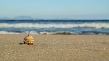 Prețuri uriașe de Sfânta Maria. Cât plătesc românii pentru două nopți la mare sau la munte
