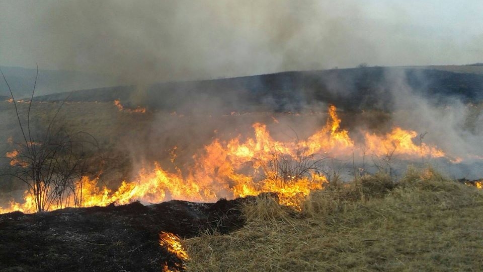 Incendiu puternic la marginea Reșiței, 150 de case în pericol. Culmea, localnicii fac selfie-uri | VIDEO