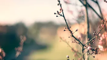 Prognoza meteo azi, 5 martie 2026. Vreme rece in Transilvania: temperaturile scad spre 0 grade in zona Carpatilor