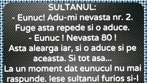 BANC | Sultanul: "Eunuc, adu-mi nevasta nr 2!"