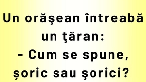 BANCUL ZILEI | "Cum se spune: șoric sau șorici?"