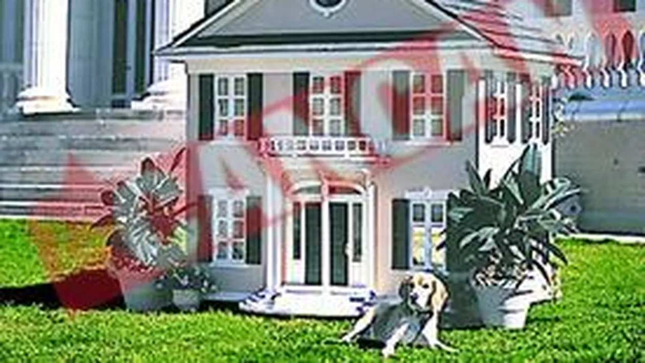 Case de 25.000 de dolari pentru caini