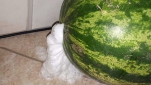 A cumpărat un pepene, în Piatra Neamţ. A ajuns acasă, i-a făcut „dop”, dar… surpriză! Au început să iasă spume. Când a aflat de ce, a rămas mut…