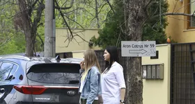 Galerie foto - poza 4