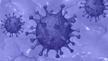 A fost finalizată aplicația COVID-19 Lockdown Tracker. Persoanele aflate în carantină sau izolare pot fi monitorizate
