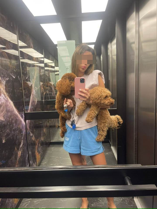 Fiica “Regelui imobiliarelor” l-a tocmit pe celebrul Tarzan ca să răpească căţelul multimilionarului de la Braiconf! Martorul CANCAN a dat în vileag întregul scenariu