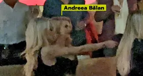 Galerie foto - poza 1